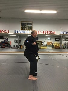 Horseback or Kiba Dachi Stance in karate.