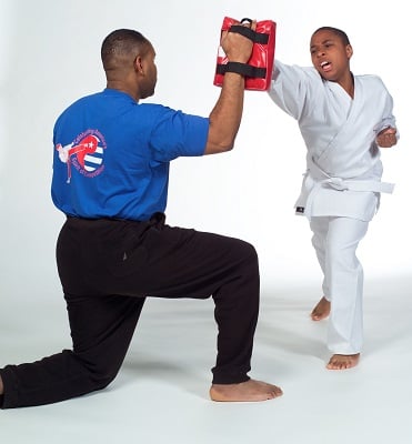 Century Martial Arts rectangular hand targets