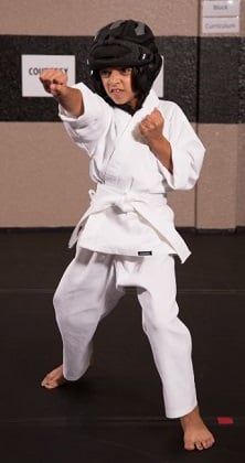 Tegu headgear Century Martial Arts