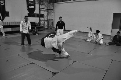Martial Arts Training and Real Fighting