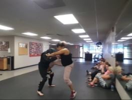 William Tresten Tactical Defense Systems self defense for women