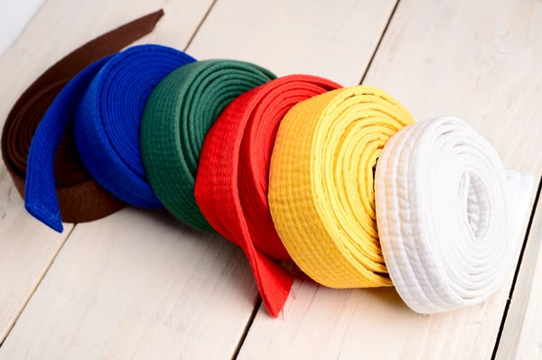 Different colors of martial arts belt represent different levels and stages of training. 