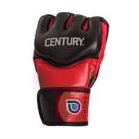 MMA (mixed martial arts) gloves