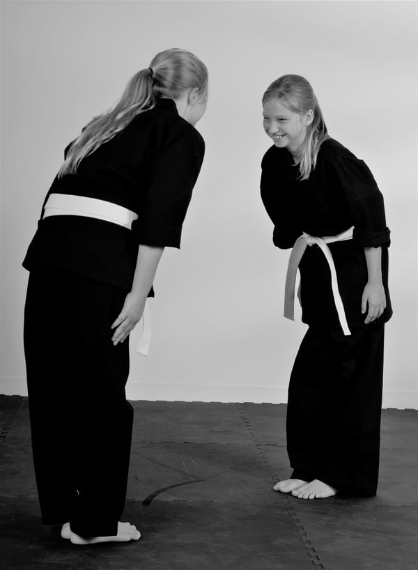 Respect is one of the main values taught in martial arts, where it is often shown with a bow. 