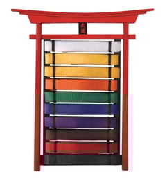 The Budo Belt Holder from Century Martial Arts