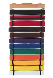 The Wall Mounted Belt Holder from Century Martial Arts.