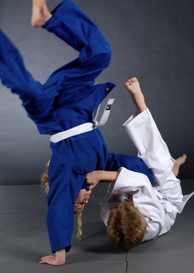 Judo - 0003