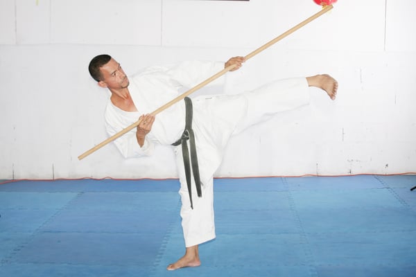 Kicking while using the bo staff is cool, and extra painful if you can kick someone in the gut while you poke them in the eye.