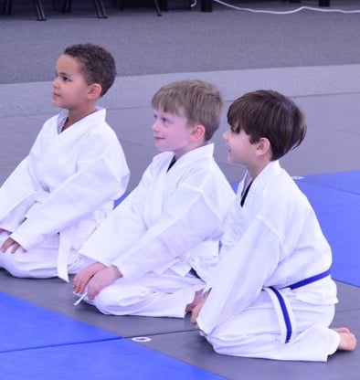Children attend a karate class.