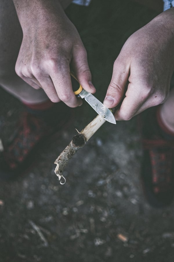 Photo by Felix Mittermeier via Pexels