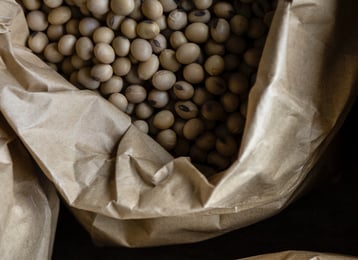 abundance-batch-bean-1537169