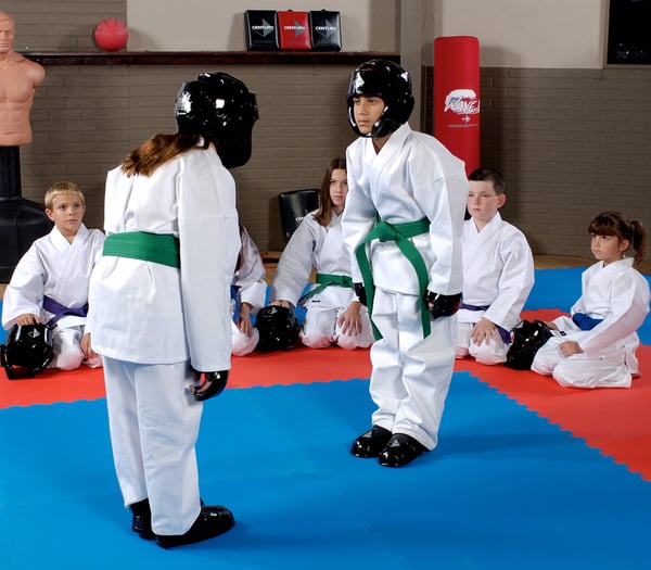 Two green belt students prepare to spar.