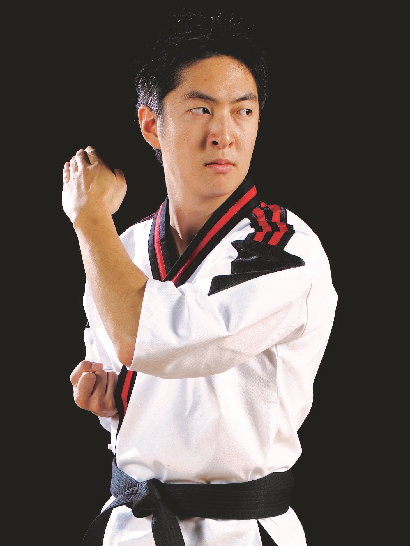 Kung Fu Long Fist Boxing